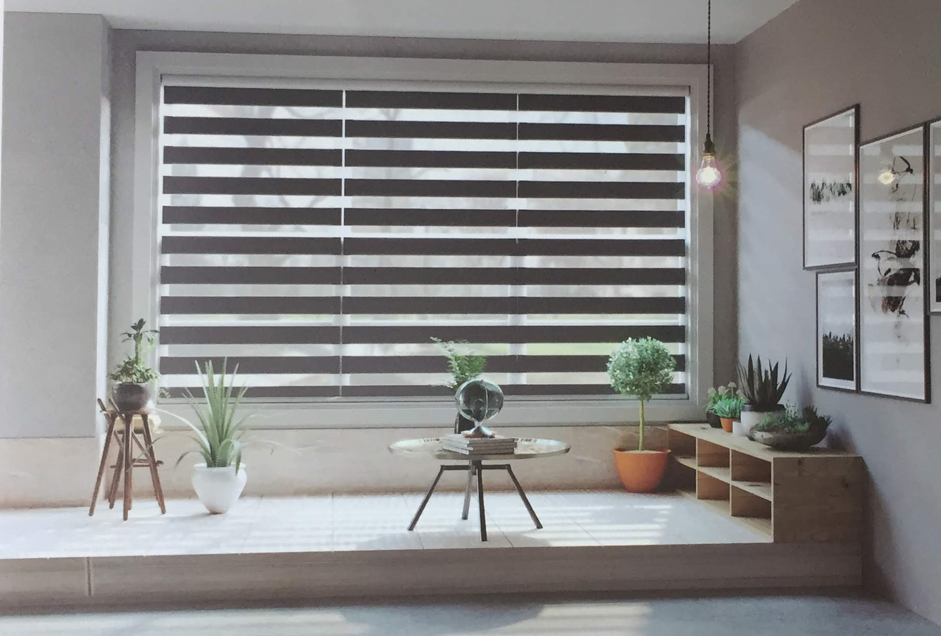 Rèm cầu vồng Hàn Quốc Modero mã Alice Rèm cầu vồng Hàn Quốc Modero mã Alice