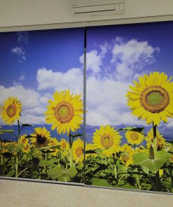 Rèm cuốn Vạn Thái